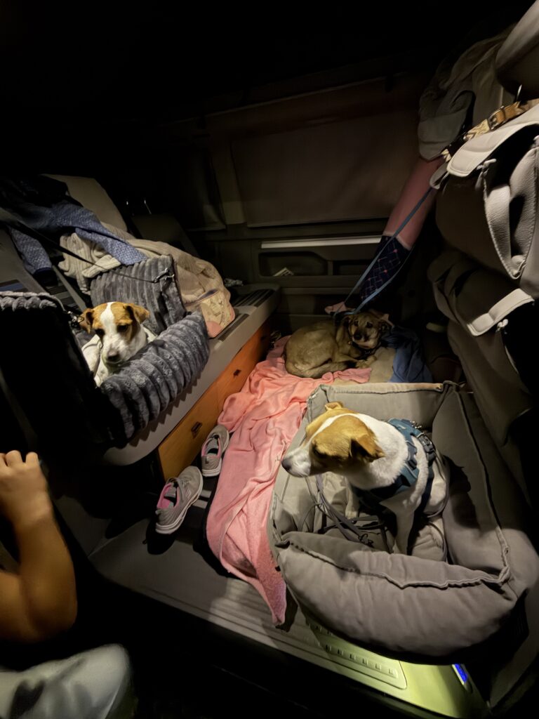 Unser erster Roadrudel-Trip: Mit Busti und drei Hunden an den Ammersee